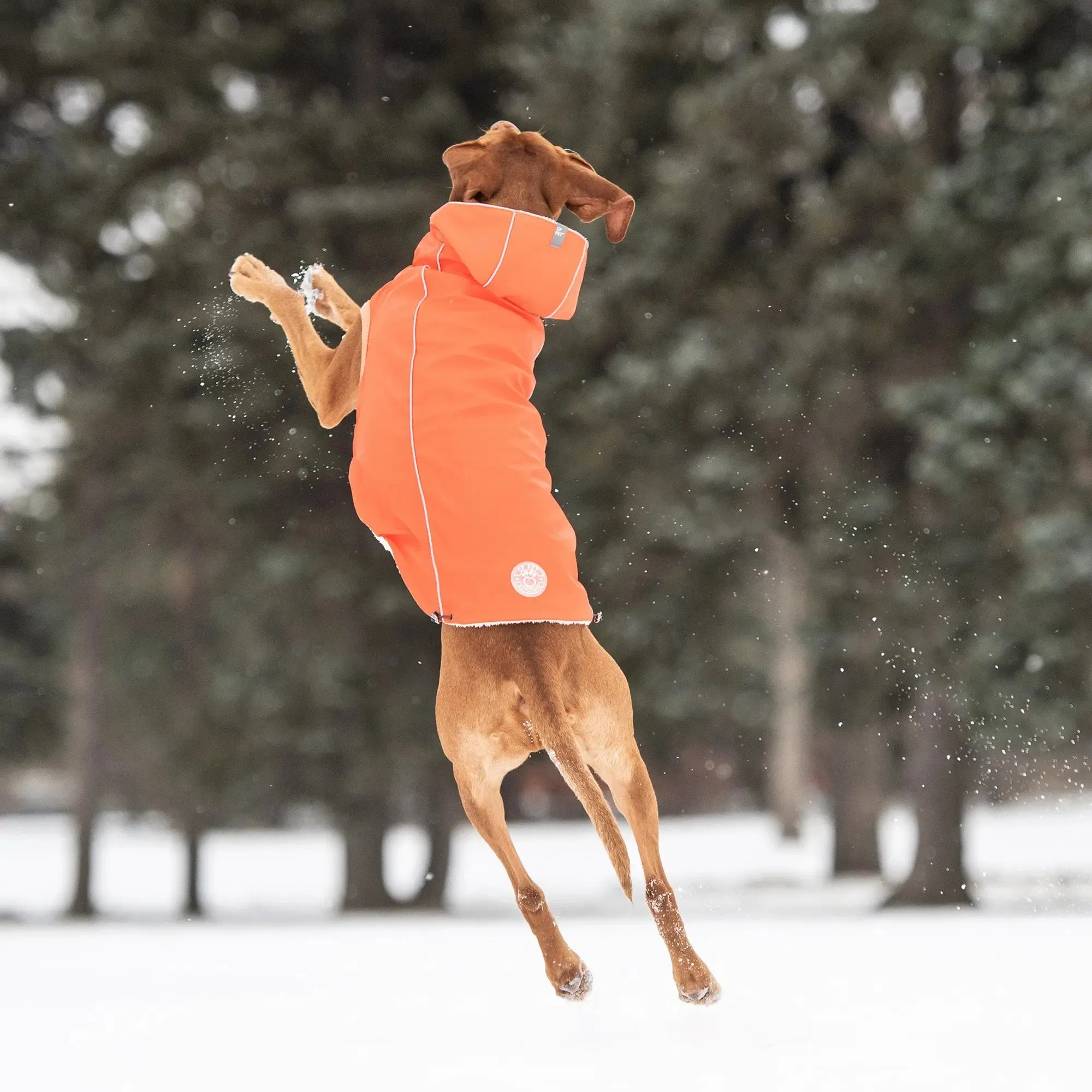 Waterproof Insulated Dog Raincoat – Ultimate Protection & Warmth
