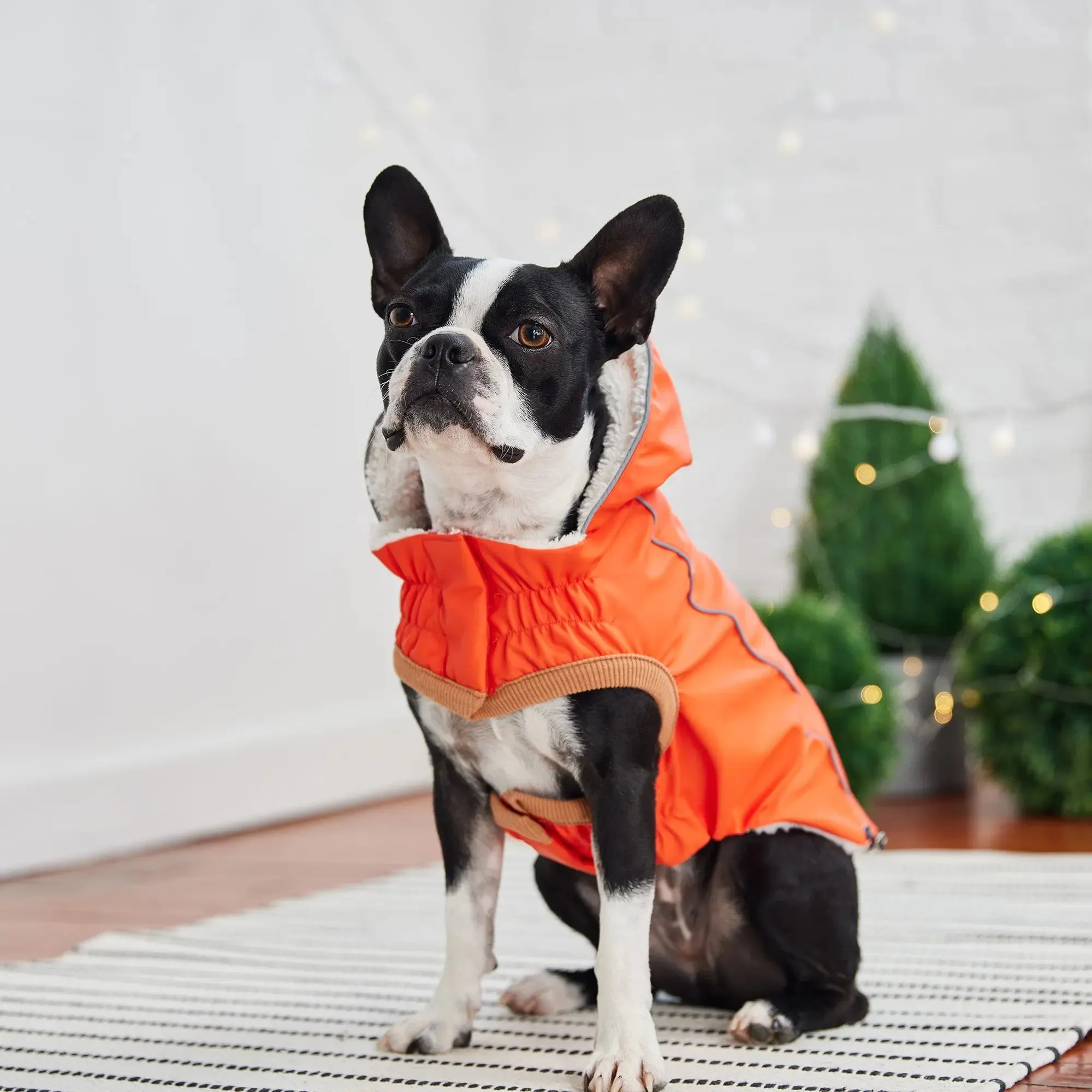 Waterproof Insulated Dog Raincoat – Ultimate Protection & Warmth