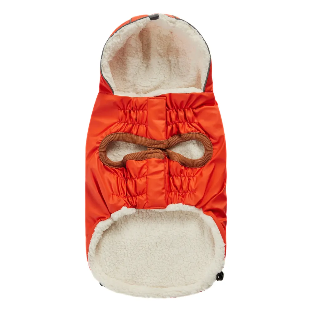 Waterproof Insulated Dog Raincoat – Ultimate Protection & Warmth