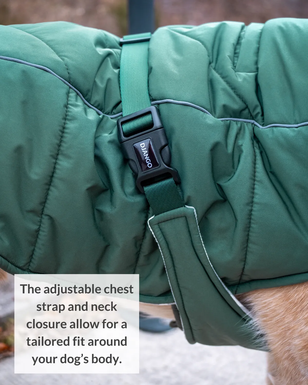 Whistler Winter Dog Coat