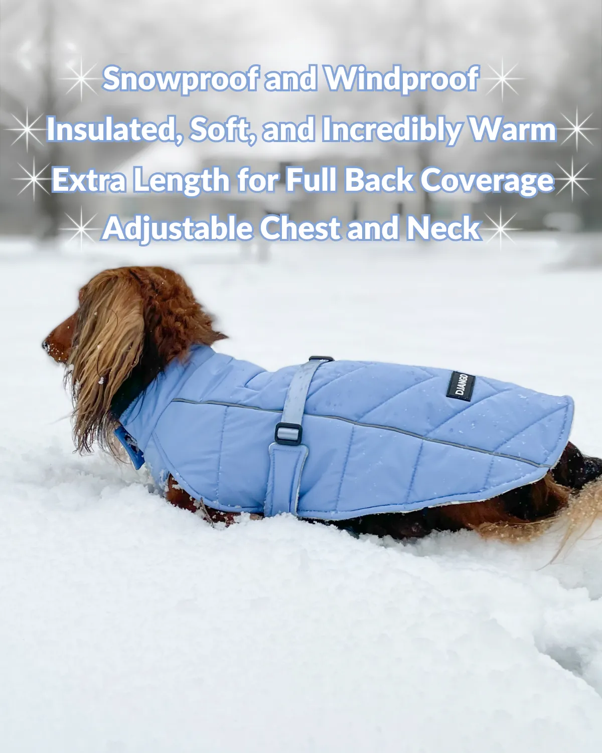 Whistler Winter Dog Coat