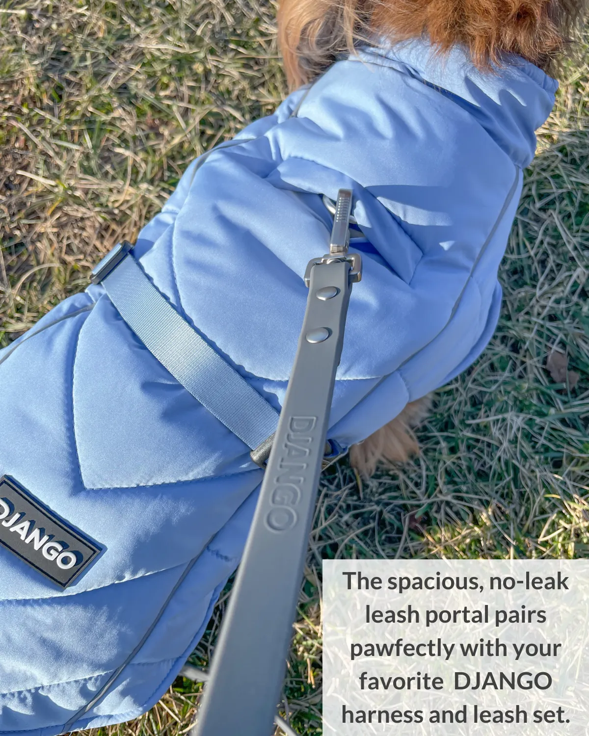Whistler Winter Dog Coat