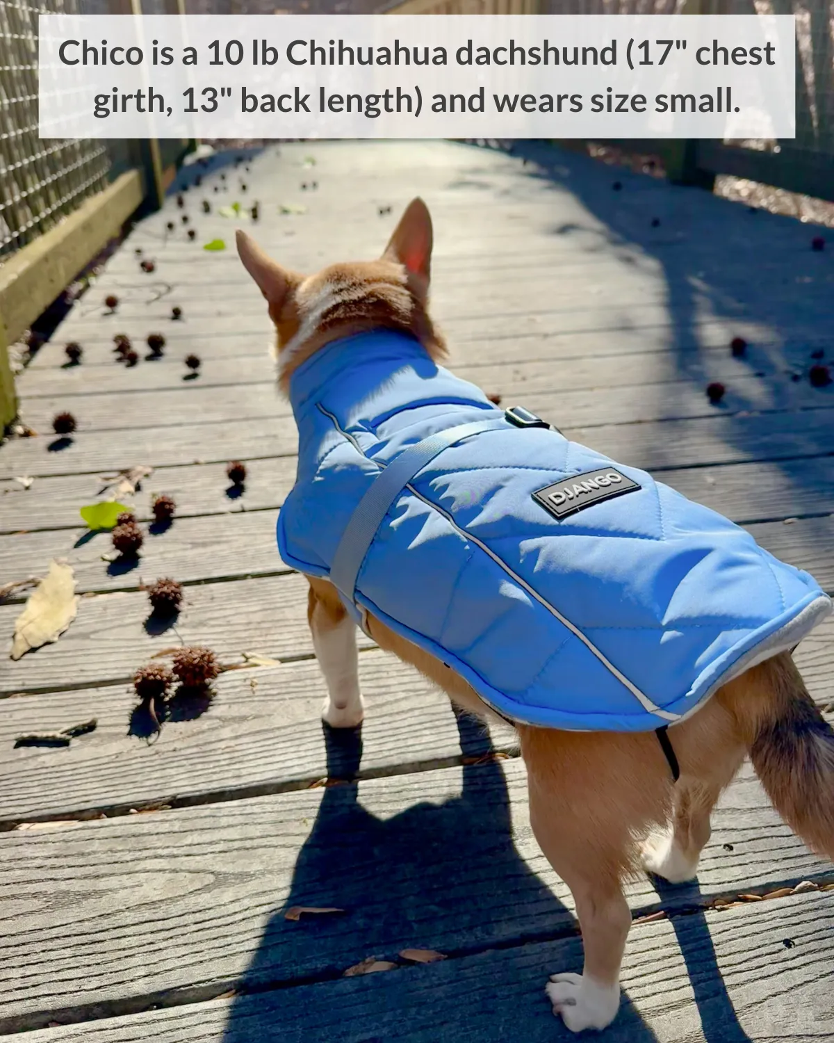 Whistler Winter Dog Coat
