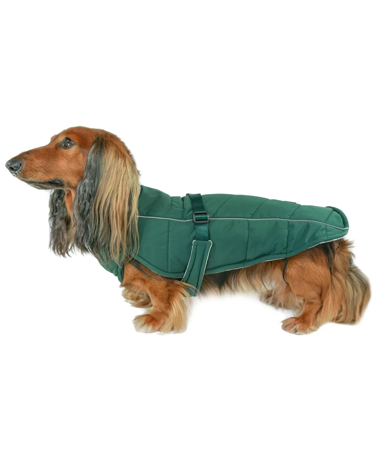 Whistler Winter Dog Coat