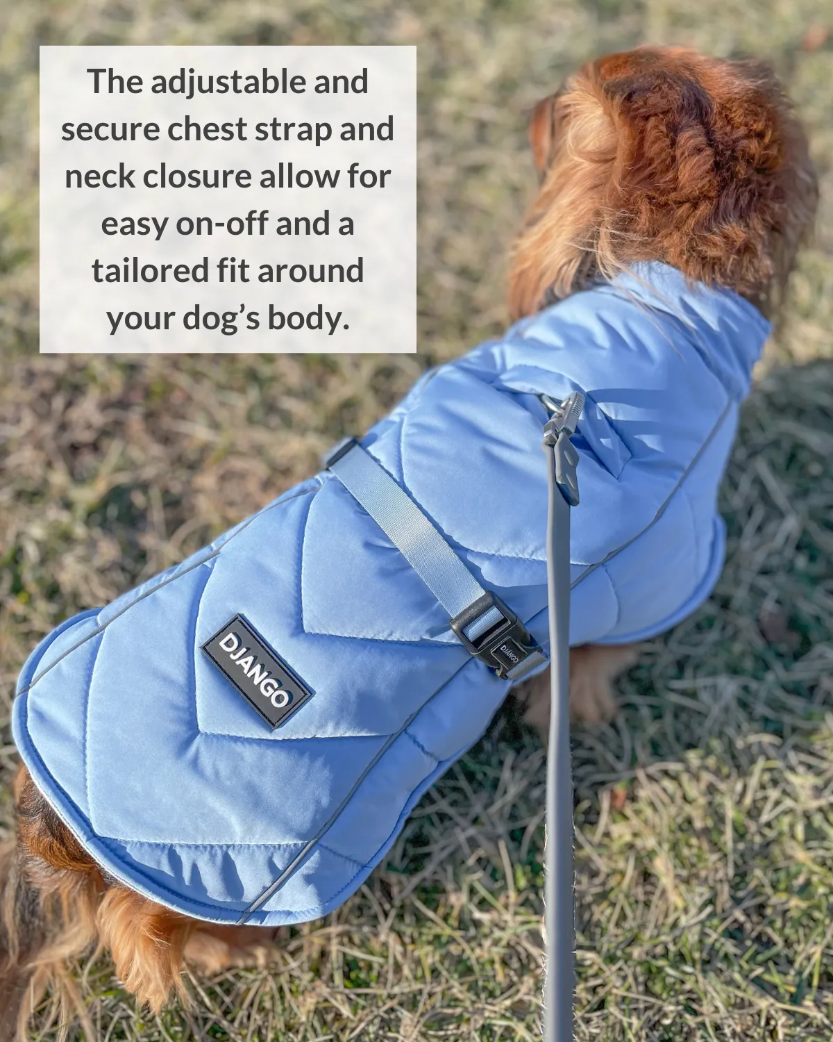 Whistler Winter Dog Coat