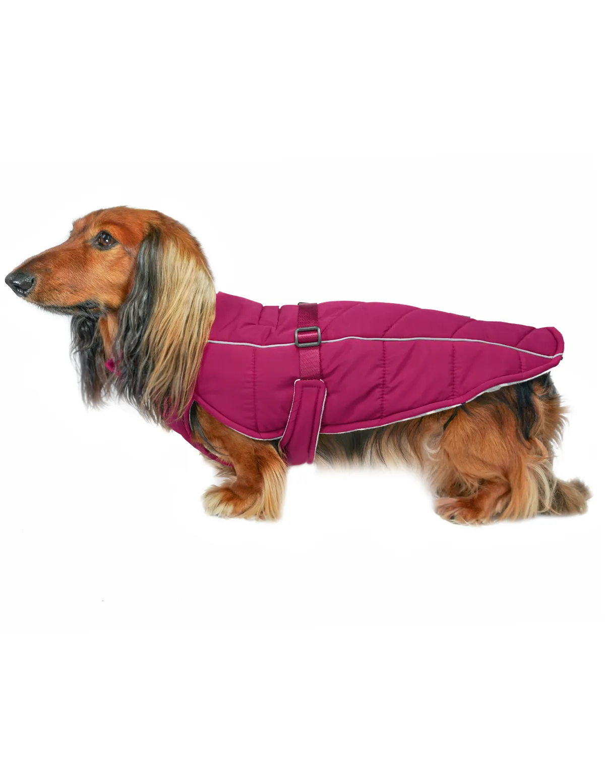 Whistler Winter Dog Coat