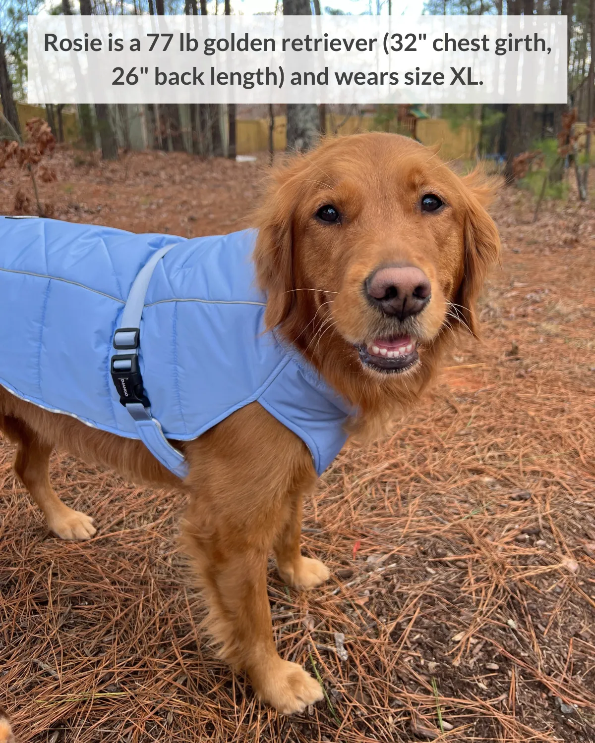 Whistler Winter Dog Coat